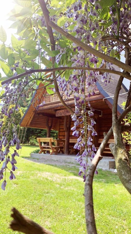 U Leona Gorlice Exterior foto